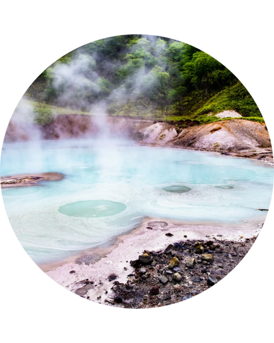 Sulphur Spring Extract